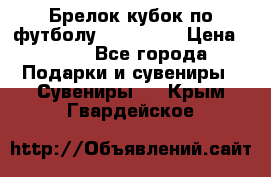 Брелок кубок по футболу Fifa 2018 › Цена ­ 399 - Все города Подарки и сувениры » Сувениры   . Крым,Гвардейское